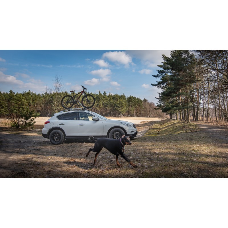Taurus BikeUp Uchwyt rowerowy Taurus BikeUp Uchwyt rowerowy